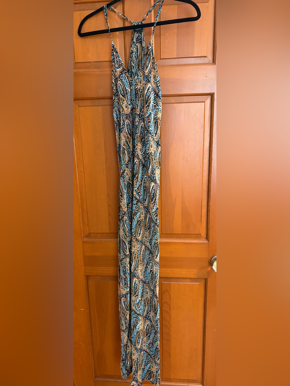 Tolani Teal, Tan & Black Paisley Maxi Skirt